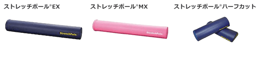 ストレッチポールEX